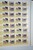 Lot 1506 (299)