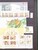 Kavel 1075 (478)