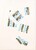Kavel 1086 (37)