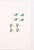 Kavel 1086 (195)