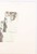 Kavel 1086 (278)