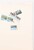 Kavel 1086 (472)