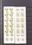Kavel 1116 (459)
