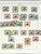Kavel 1204 (31)