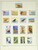 Kavel 1204 (99)