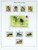 Kavel 1204 (109)