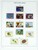 Kavel 1204 (118)