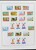 Kavel 1184 (60)