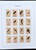 Kavel 1184 (103)