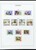 Kavel 1184 (132)