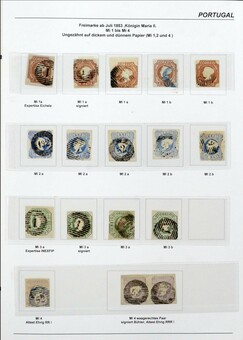 Lot 1243