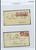 Lot 1243 (34)