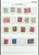 Lot 1243 (48)