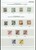 Lot 1243 (50)
