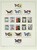 Kavel 1202 (71)