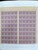 Lot 1191 (6)