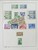 Lot 1191 (31)
