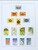 Lot 1191 (71)