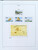 Lot 1191 (100)