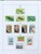 Lot 1191 (108)