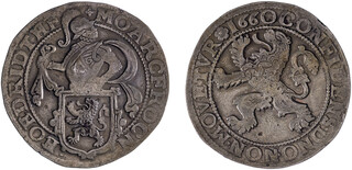 Lot 645