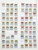 Kavel 2655 (265)