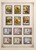 Kavel 66 (91)