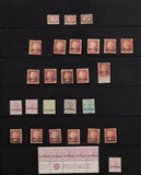 Lot 296
