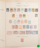 Lot 607