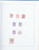 Kavel 303 (171)