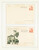 Kavel 441 (43)