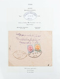 Lot 585