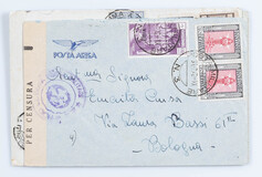 Lot 591