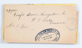 Lot 597