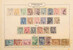 Lot 14 (5)
