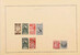 Lot 14 (20)