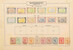 Lot 14 (55)