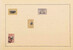 Lot 14 (72)