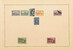 Lot 14 (81)