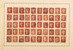 Lot 14 (165)