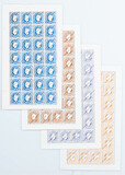 Kavel 381