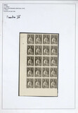 Kavel 1131