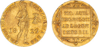 Lot 501