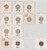 Lot 864 (21)