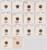 Lot 864 (33)