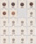 Lot 864 (40)