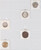 Lot 860 (38)