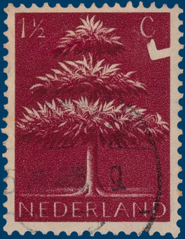 Kavel 4436