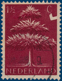 Kavel 4436