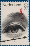 Kavel 4481